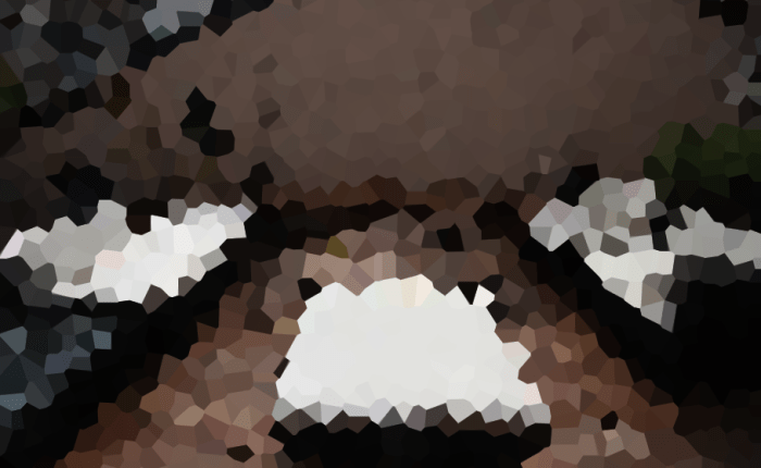 La honte –&nbsp;Céleste