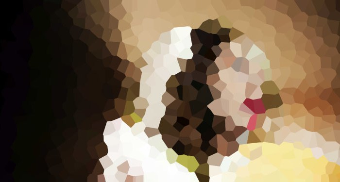 Toujours (2) –&nbsp;Céleste