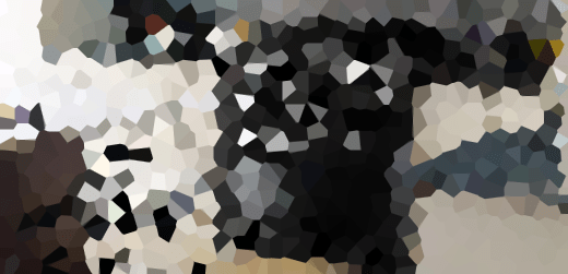 Début Mars 2016 –&nbsp;Nina