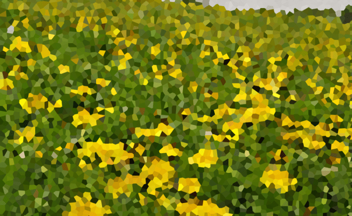 Le Poème Imbibé, mai 2015 – Céleste